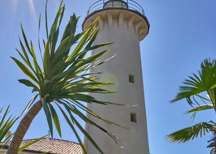 Comfortable And Lovely Daire